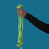 Five Rope Repeat - NEW!