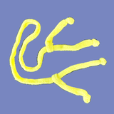 Rope With Four Ends, Bright Yellow - NEW!